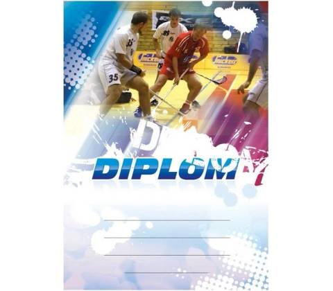 Diplom 6616