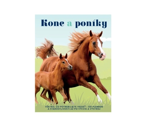 Kone a poníky