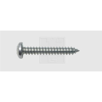 SWG 115631625 šroub do plechu 6.3 mm 16 mm křížová drážka Philips DIN 7981 ocel pozinkované 100 ks