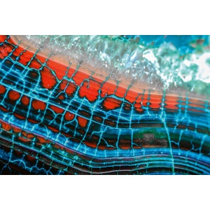 DIMEX ART Флизелинов фототапет драконова жилка 375 x 250 см