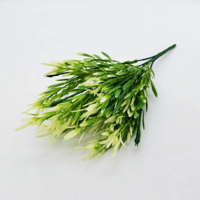 Prutnatec zeleno bíly – výška 37 cm, 4 větvičky