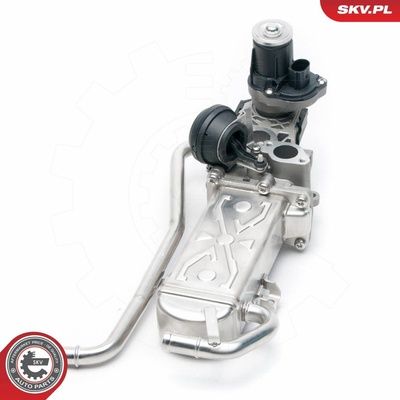 AGR - Ventil ESEN SKV 14SKV096