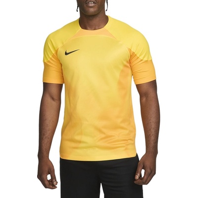 Nike Dri FIT ADV Gardien 4 DH7760 719 goalkeeper jersey 94047
