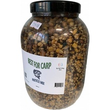 Best for carp BFC Spod Mix 3000ml