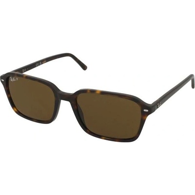 Ray-Ban RB2231 902