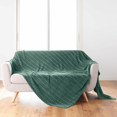 douceur d'intérieur Zelený pléd z mikroflanelu Arya 180x220