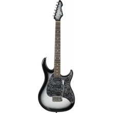 Peavey Raptor Custom - Silverburst