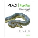 Plazi