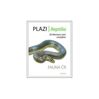 Plazi