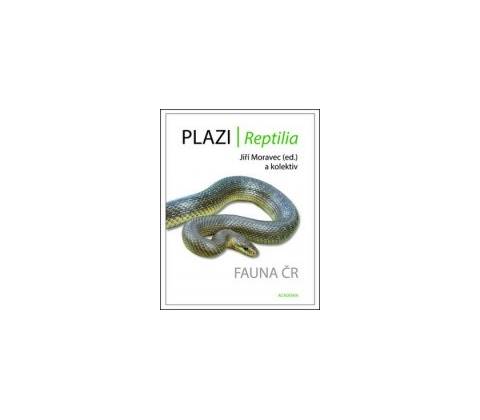 Plazi