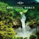 Beautiful World mini