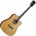 Algam Eko NXT D100ce Natural Електро-акустична китара Дреднаут