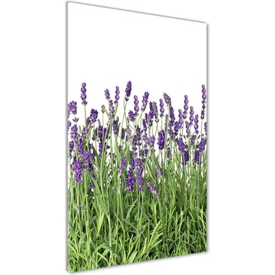 Vertikálny fotoobraz na skle Pole levanduľe 50x100 cm