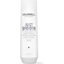 Šampóny Goldwell Dualsenses Just Smooth Taming Shampoo 250 ml
