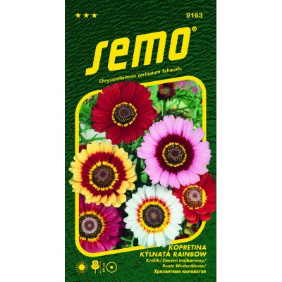 Semo Kopretina kýlnatá - Rainbow mix 0,5g
