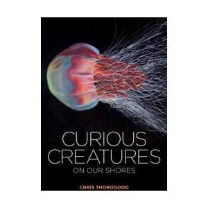 Curious Creatures on our Shores | Chris Thorogood (ISBN: 9781851245345)