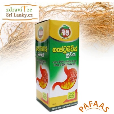 Beam Gastritis Relief sirup proti nevolnosti 200 ml