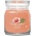 Yankee Candle Tropical Breeze типична свещ средна 368 гр