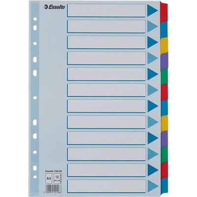 Roztřiďovač kartonový Esselte Mylar, 12 listů