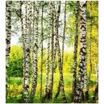 DIMEX ART Флизелинов фототапет брезова гора 225 x 250 см