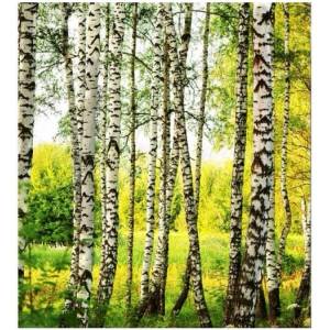 DIMEX ART Флизелинов фототапет брезова гора 225 x 250 см