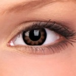 MAXVUE VISION BIG EYES Sexy Brown (10034)