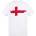 AWD Printed Adult Football England Flag Tee - England Flag