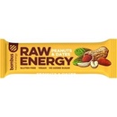 Bombus RAW Energy 50 g