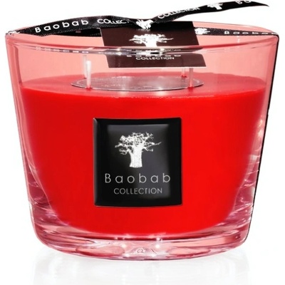 Baobab Collection ALL SEASONS – MAASAI SPIRIT 500 g