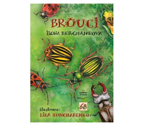 Brouci
