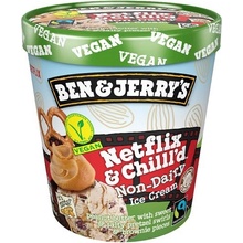 Ben & Jerry's zmrzlina Netflix & Chilll'd Non-Dairy 465 ml