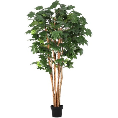 Bizzotto Клен канадски в саксия H175 cm (0173186)