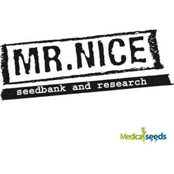 Mr. Nice Early Queen semena neobsahují THC 15 ks