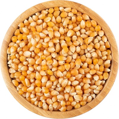 Vital Country Kukuřice na popcorn BIO 0,5 kg