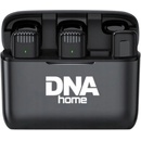 DNA ICM1
