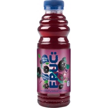 Fructal Fruc černý rybíz 0,5 l