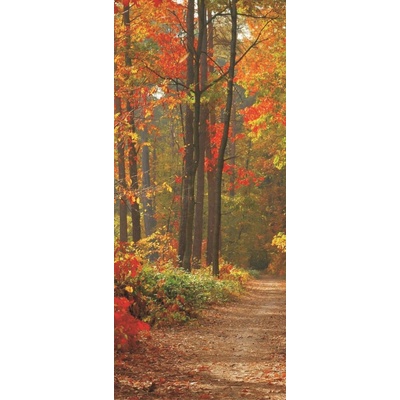 ForWall Fototapeta na dveře Podzimní les vlies rozměry 91 x 211 cm