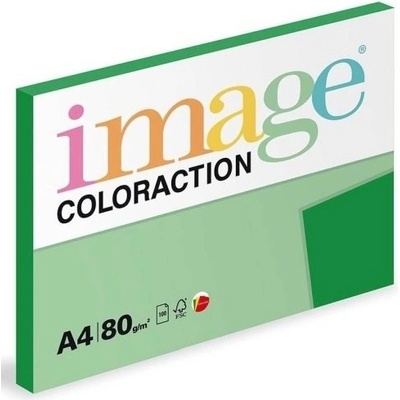 Papír xer Coloraction A4 80 g sytá zelená/Dublin