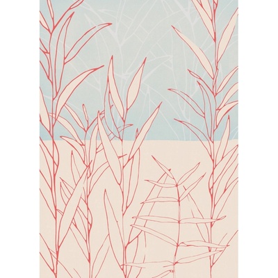 Komar Vliesová fototapeta Plain rozměry 200 x 280 cm