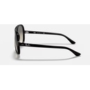 Image 1 of Ray-Ban RB4125 601/32