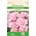 Seklos Годеция розова Godetia grandiflora