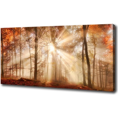 Foto obraz na plátne Hmla v lese jeseň 100x50 cm