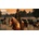 Red Dead Redemption