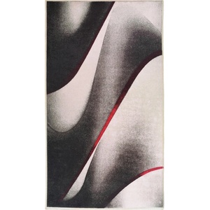 Vitaus Бял и черен килим, който може да се мие, 150x80 cm - Vitaus (KRN-9538-80x150)