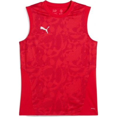 Puma TeamCUP Training Longsleeve Jersey 659168-01