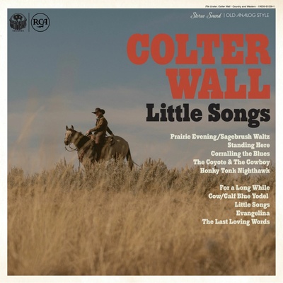 Wall, Colter - Little Songs LP