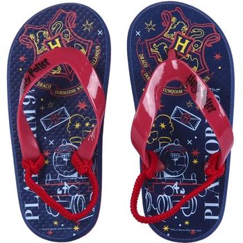 CERDA Джапанки harry potter