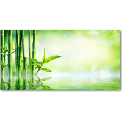 Foto obraz sklo tvrzené bambus 100x50 cm