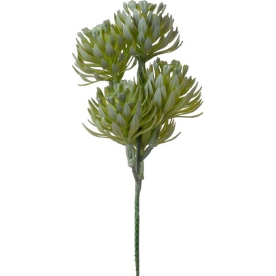 ZÁPICH SUKULENT ZELENO-SIVÁ 18CM