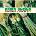 Booker T. & The MG's - Green Onions (Limited Edition) (Reissue) (Green Coloured) (LP) (8436559464666)